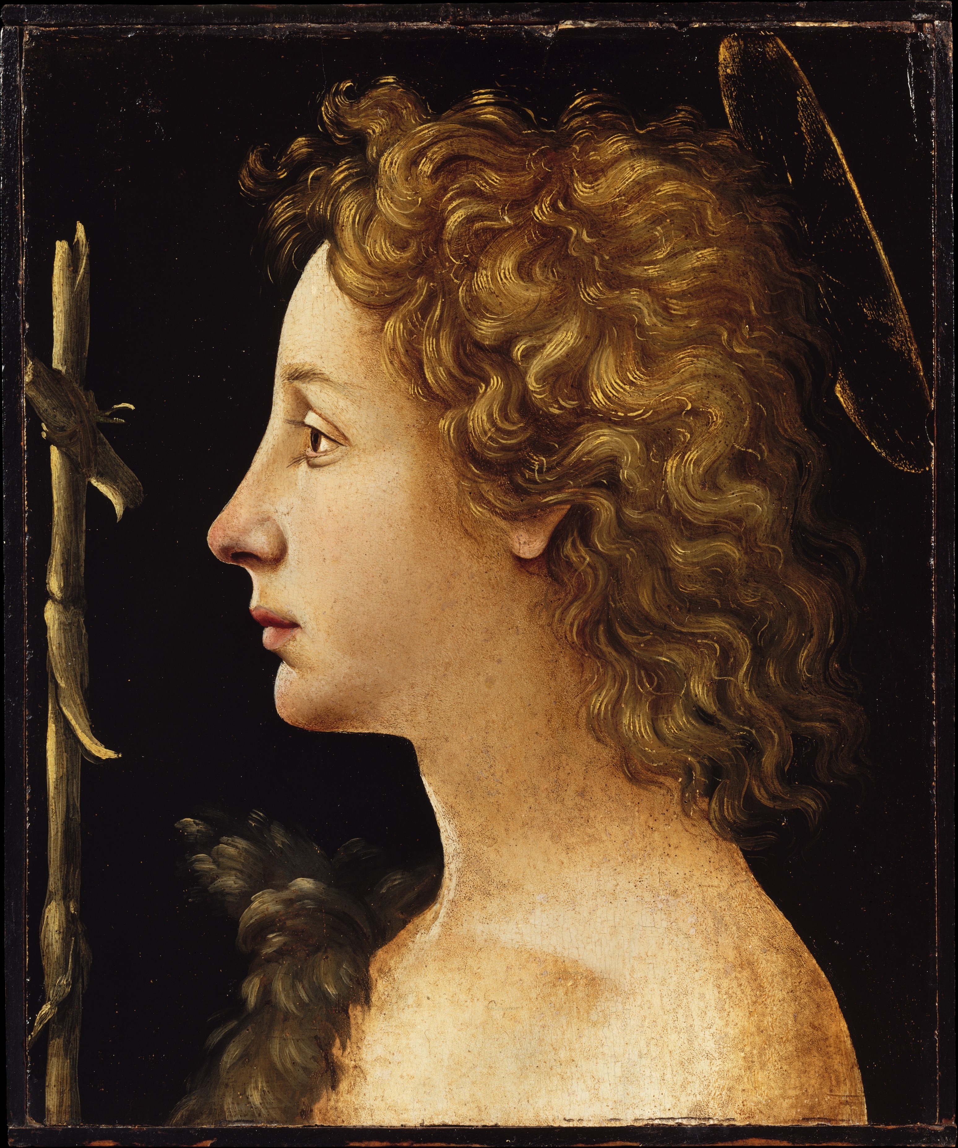 Piero di Cosimo (Piero di Lorenzo di Piero d'Antonio)